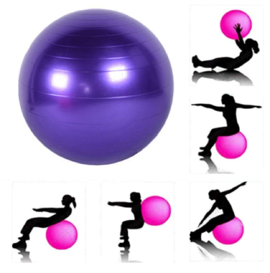 Exercise Ball / Physio Gym Ball