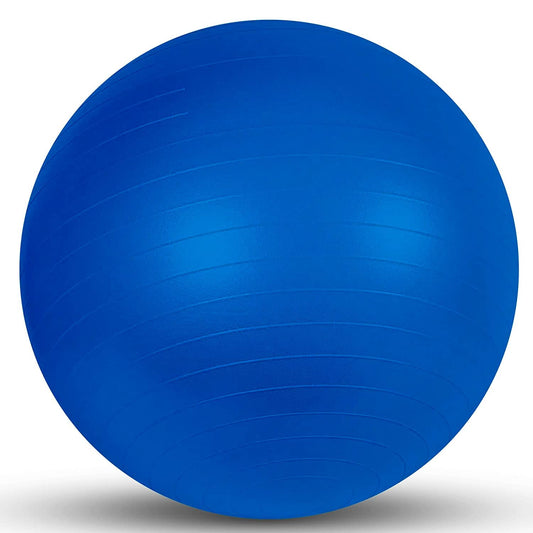 Exercise Ball / Physio Gym Ball